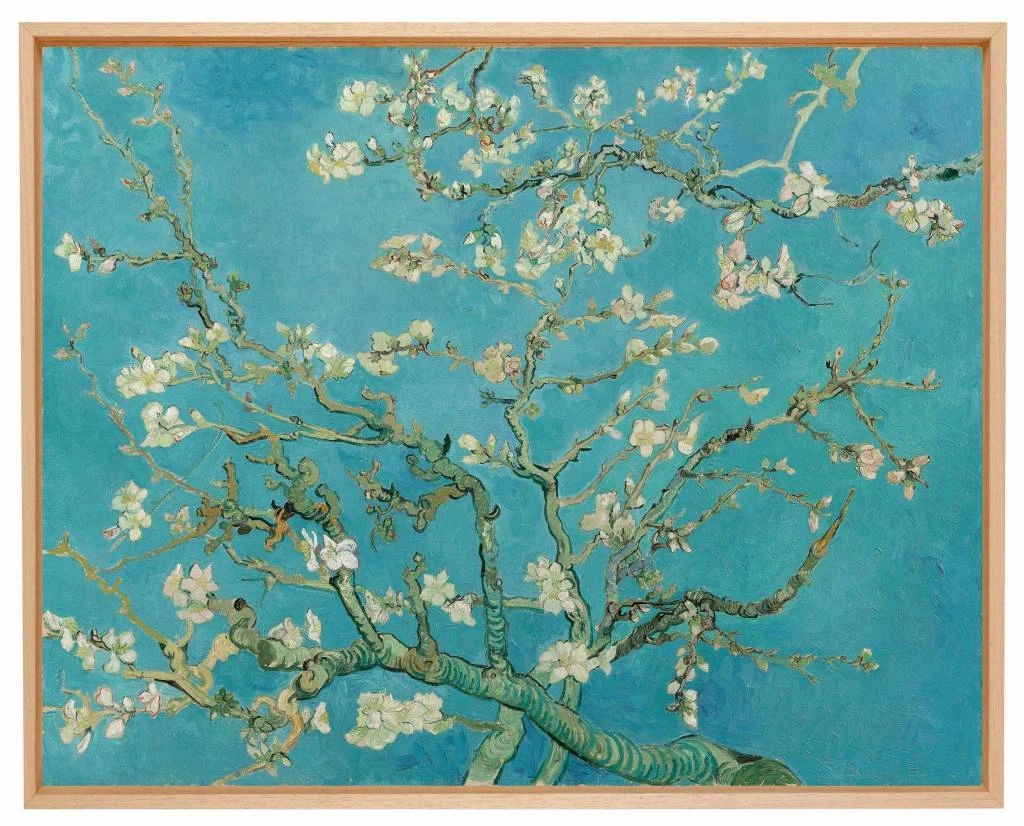 product-image-276