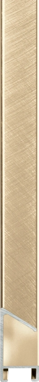 Geborsteld gouden Nielsen lijst