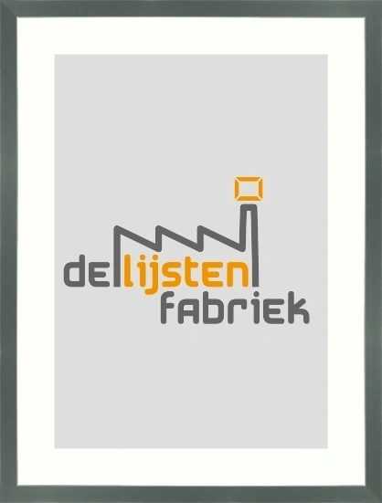 Platina aluminium Nielsen lijst