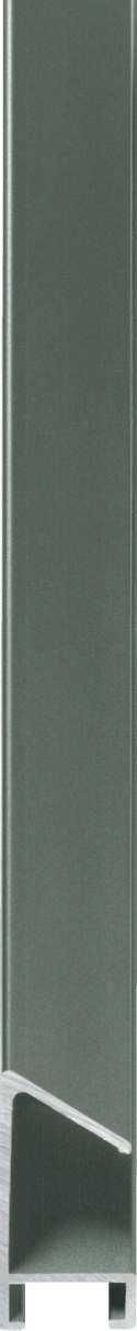 Platina aluminium Nielsen lijst