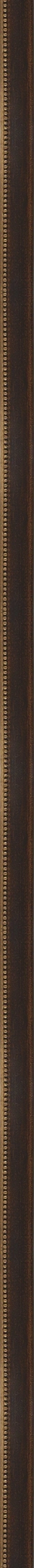 Florentijn bruin/goud