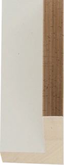 Essence L wit/oud goud fineer baklijst