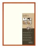 Barth wissellijst 916 RO - Oranje