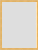 Floating frame goud
