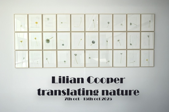 Expo Lilian Cooper